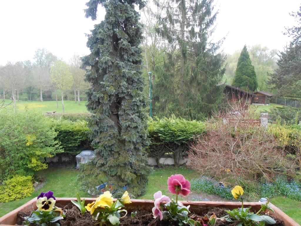 Aux Marguerites Villa Sainte-Genevieve-les-Gasny Ruang foto